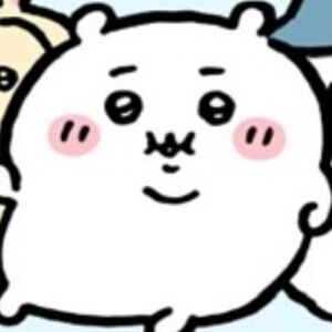 Meet your Posher, Ace